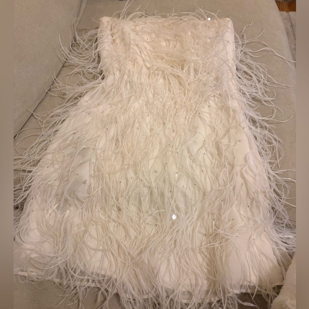 J.Crew Collection - Ostrich Feather Dress - XS - Picture 2 of 3
